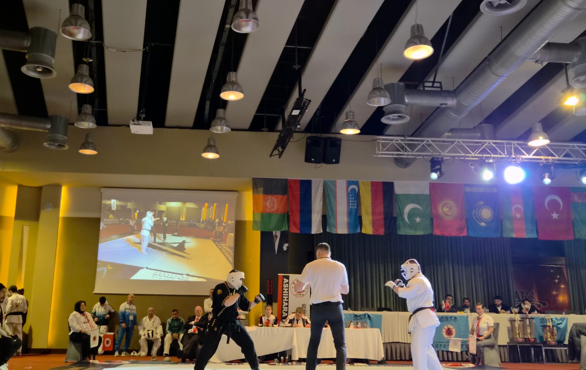 Uluslararası Dövüş Sanatları Arenası